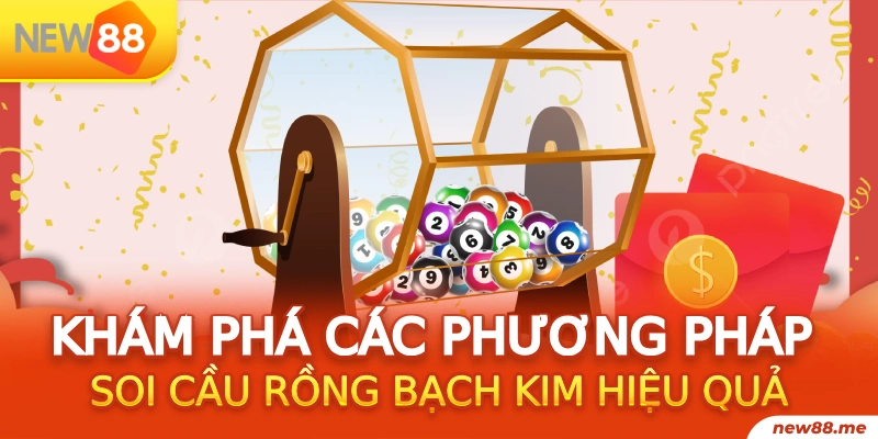 rr88vip gà chọi