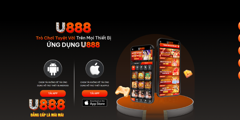 rr88vip cá cược bóng đá như thế nào