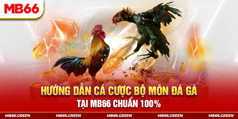 rr88vip slot là gi