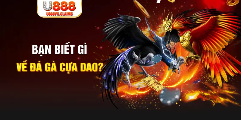 rr88vip SW Xổ Số