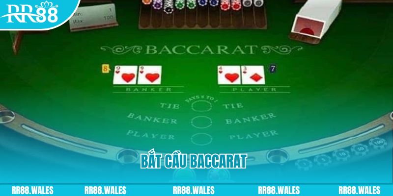 rr88vip what are the best online casino games