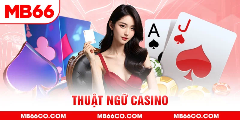 rr88vip gà chọi c1 mới nhất