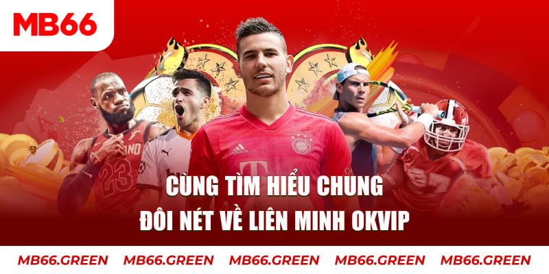 rr88vip đá gà trực tiếp bình luận viên