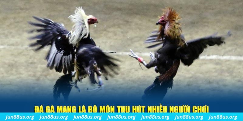 rr88vip nổ hủ nghĩa là gì