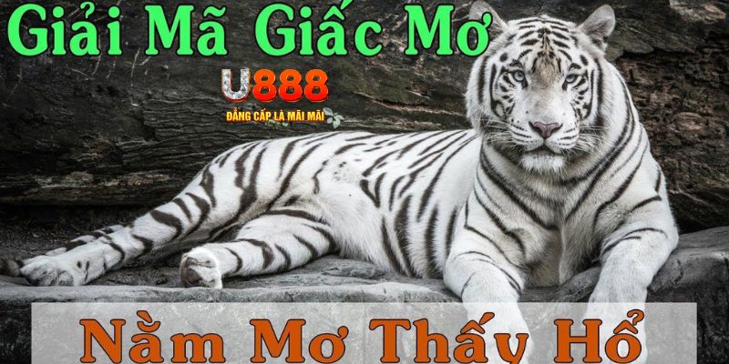 rr88vip xổ số miền bắc xổ số miền bắc