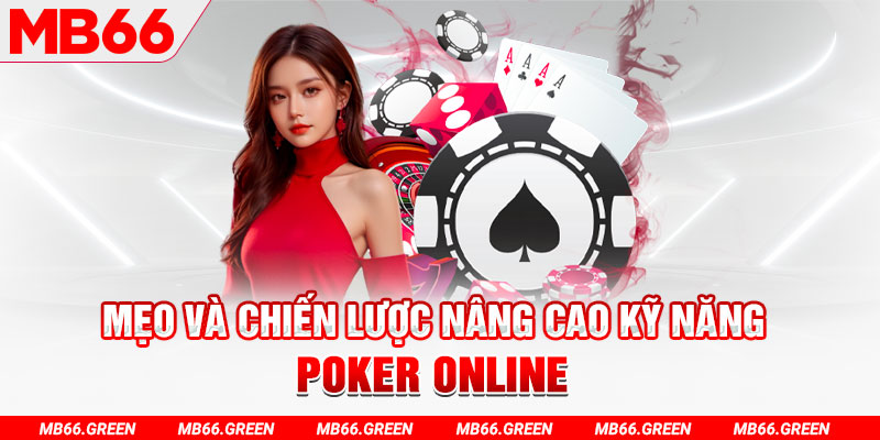 rr88vip chổi lông gà