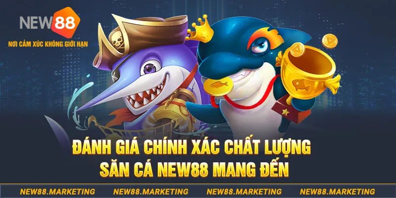 rr88vip đăng nhập mậu binh mới nhất