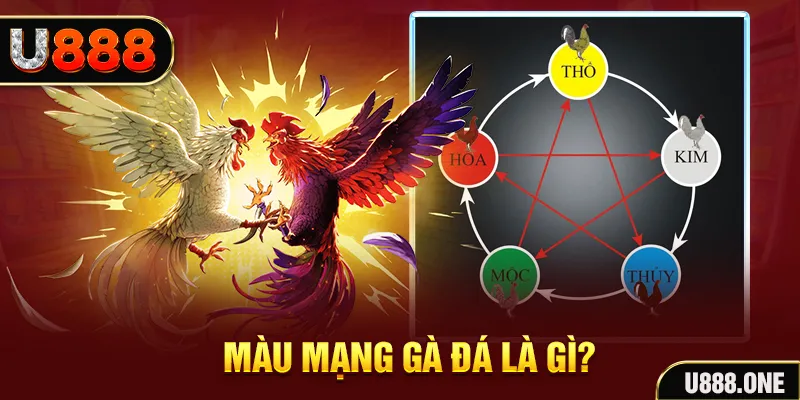 rr88vip xổ số miền trung thứ tư hàng tuần