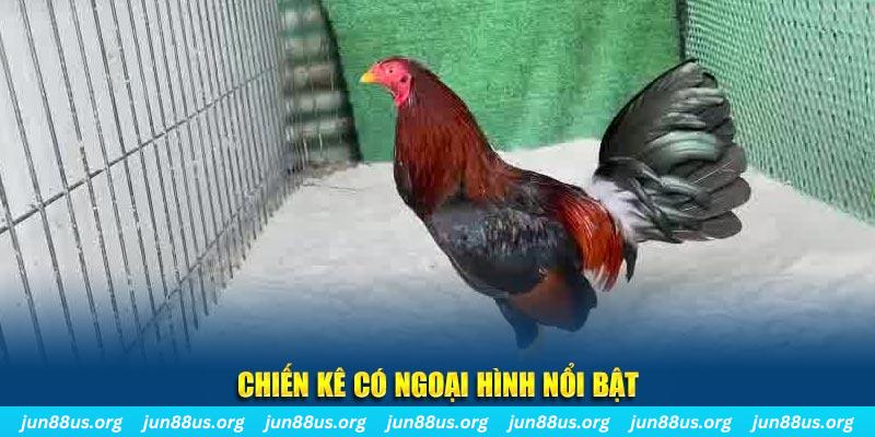 rr88vip game bắn cá