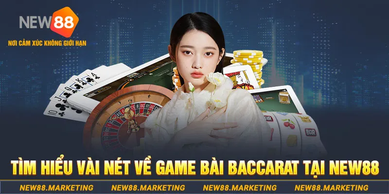 rr88vip gà chọi c1 ô taxi